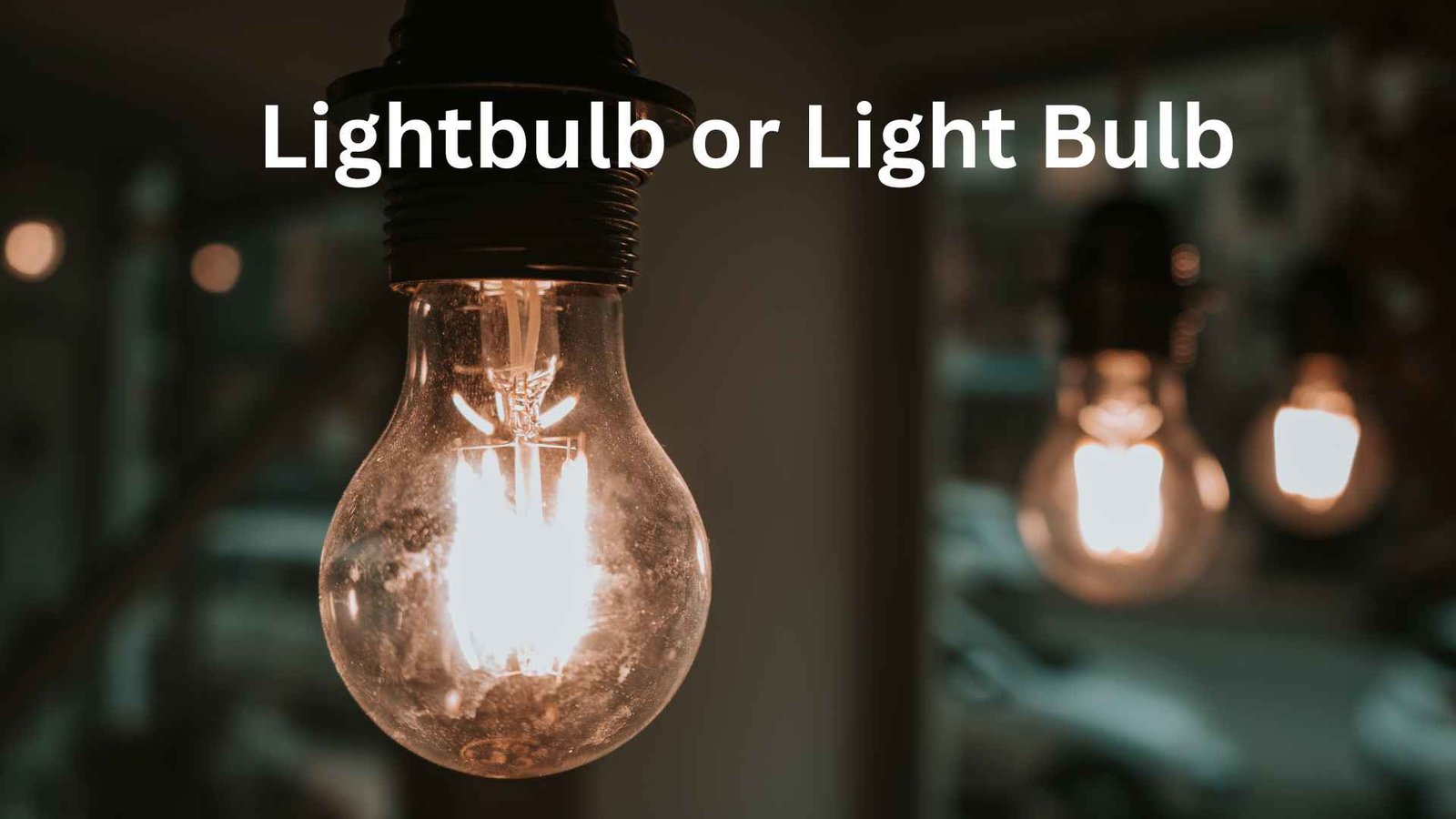 lightbulb or light bulb
