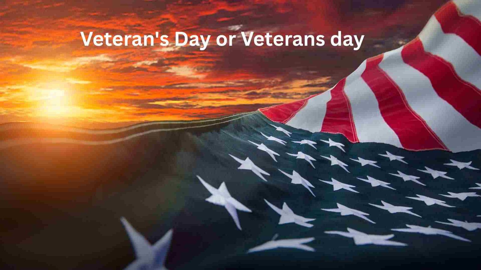 veteran's day or veterans day