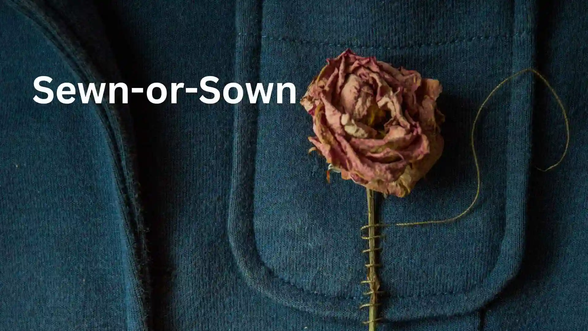 sewn or sown
